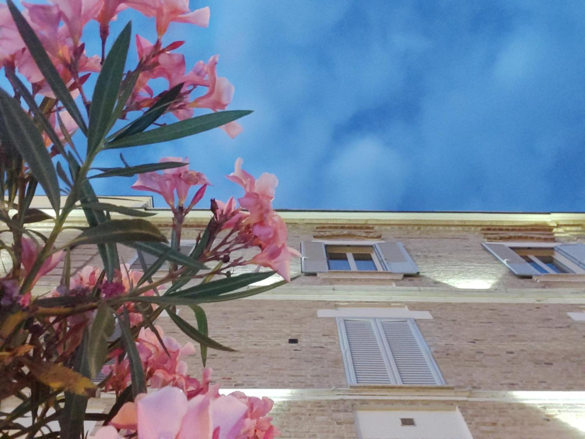 Villa Contessina Cossignano Exterior foto